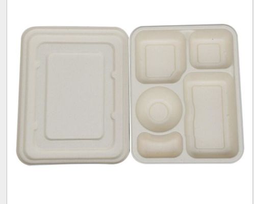 5 Gitter-Wegwerfbrotdose mit Deckel, Weizen Straw Biodegradable Lunch Box