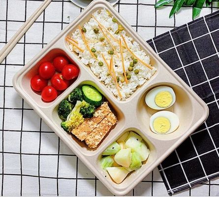 5 Gitter-Wegwerfbrotdose mit Deckel, Weizen Straw Biodegradable Lunch Box