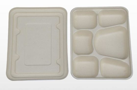 Fach-abbaubarer Geschirr-Weizen Straw Disposable Lunch Box FDAs 6