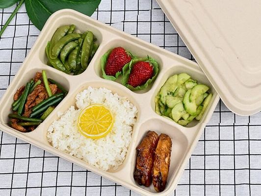 Fach-abbaubarer Geschirr-Weizen Straw Disposable Lunch Box FDAs 6