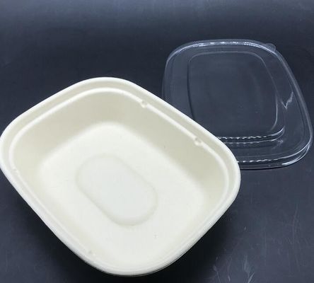 Form-Zuckerrohr-Geschirr-Nahrungsmittelbehälter Sald Biorechteck-U mit transparentem Deckel