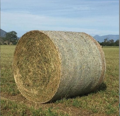 PE Kunststoff Landwirtschaftliche Runde Maisbalen Netze Silage Futtermittel Futtermittelnetze Strohbalen Netze Baler Spezial