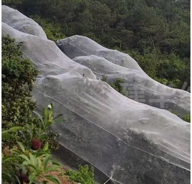 Kunststoff-Vogelnetz PE vergrößert verdickt Gewächshaus landwirtschaftliche Zuchtnetz Weinberg Insektennetz