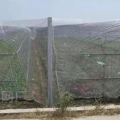 Kunststoff-Vogelnetz PE vergrößert verdickt Gewächshaus landwirtschaftliche Zuchtnetz Weinberg Insektennetz