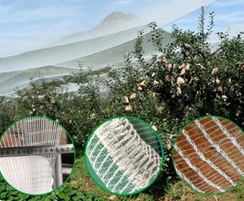 Gutes Vogel-Insektenschutznetz Hagelfestes weißes Bienenfestnetz zum Schutz von Baumpflanzen