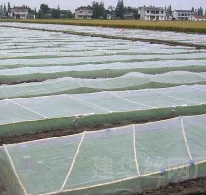 Grüner, maßgeschneiderter Insektenschutz, Pflanzennetz für Obstbäume, Gemüsegärten, Hausfabrik