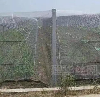 40 50 60 Mesh 125g Landwirtschaft Gewächshaus Insektennetz mit akzeptablem Druck